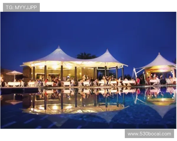 亲身体验美高梅娱乐城的夜生活与表演秀